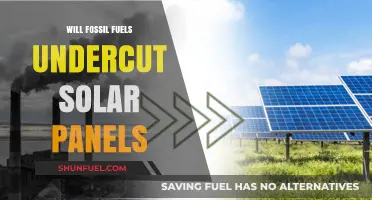 Fossil Fuels vs. Solar: Will Cheap Energy Undermine Renewable Growth?