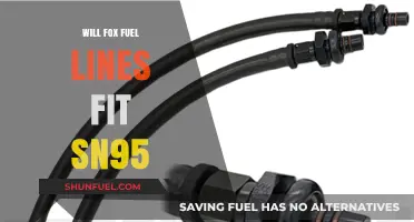 Fox Fuel Lines: Compatibility with Ford SN95 Models