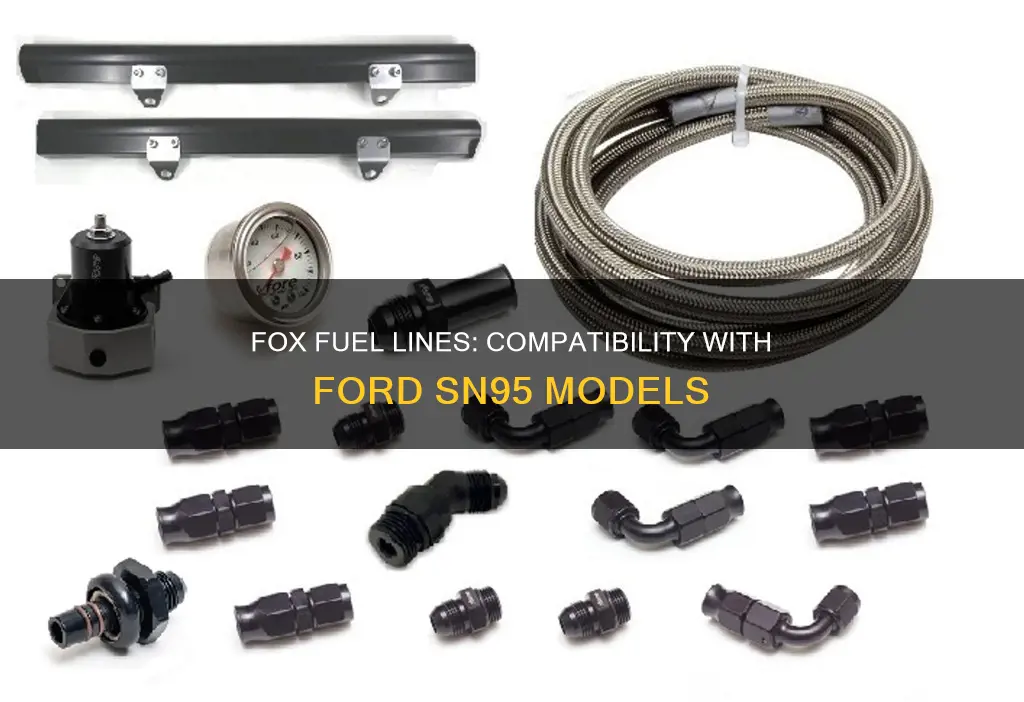 will fox fuel lines fit sn95