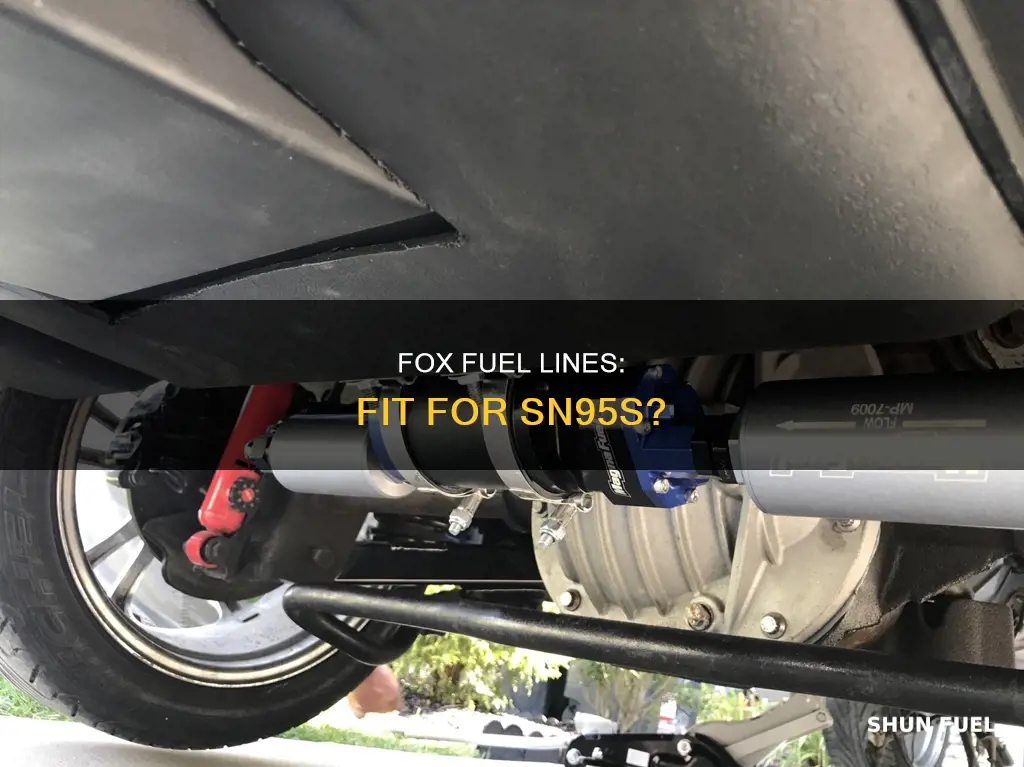 will fox fuel lines fit sn95
