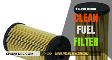 Fuel Additive: Clean Fuel Filter Solution?