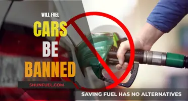 The End of Fuel Cars: Ban Looming?