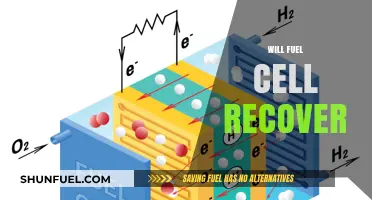 Reviving Clean Energy: The Potential Comeback of Fuel Cells