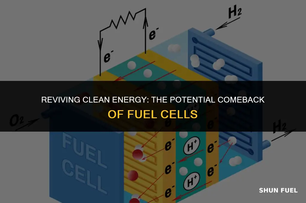 will fuel cell recover