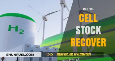 Will Fuel Cell Stocks Bounce Back? An Industry Analysis