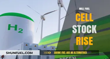 Will Fuel Cell Stocks Rise? Analyzing the Future of Clean Energy Investments