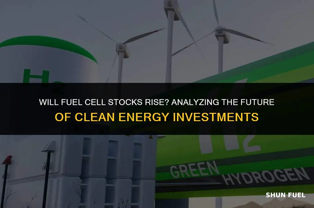 will fuel cell stock rise