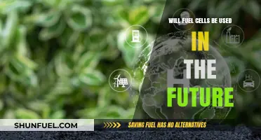 The Future of Fuel Cells: Sustainable Energy or Passing Trend?
