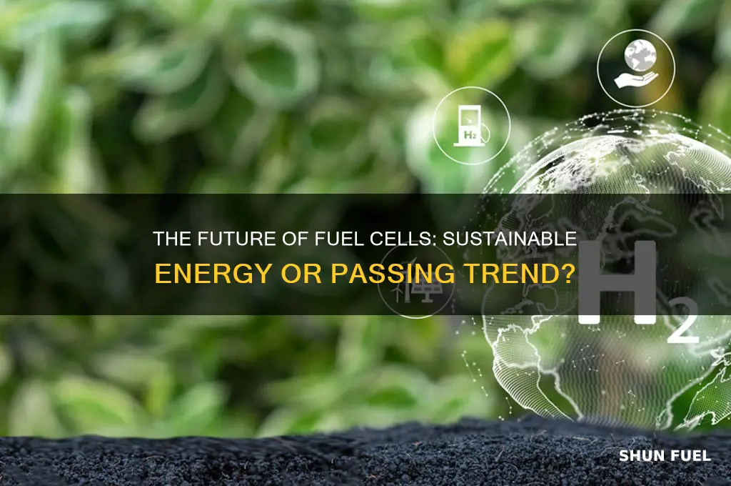 will fuel cells be used in the future