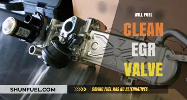 Revving Up Clean Energy: The Role of EGR Valves in Fuel Efficiency