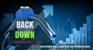 Will Fuel Prices Plummet Again? Insights into the Future of Energy Costs