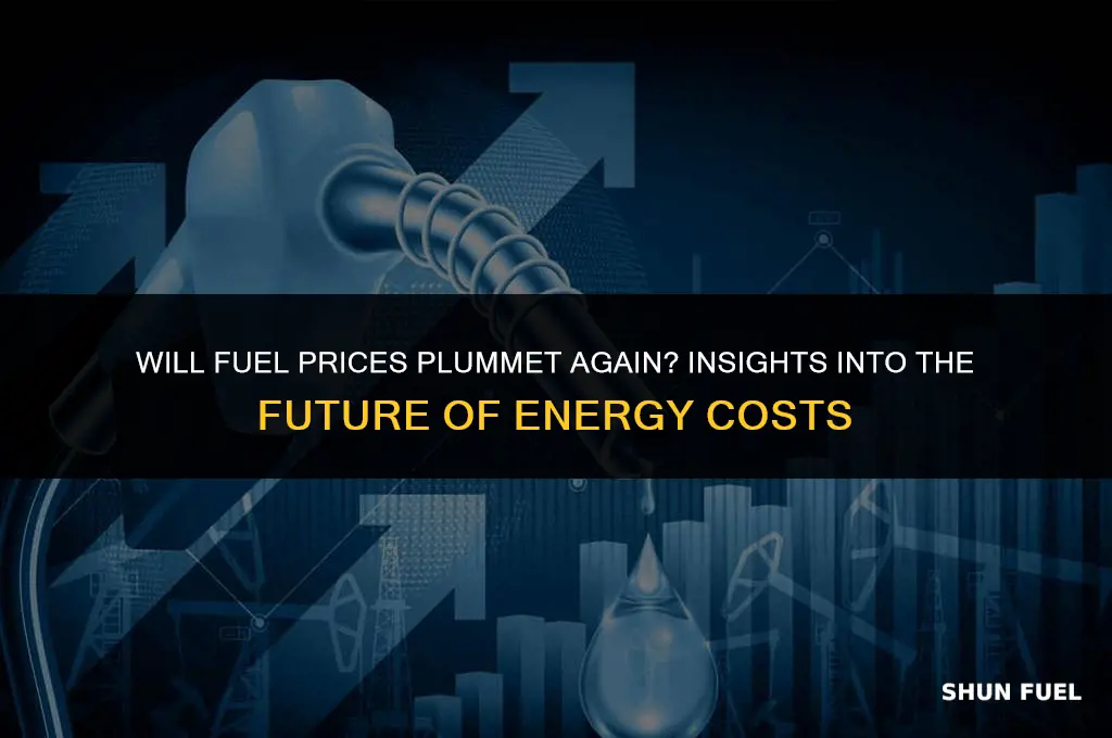 will fuel come back down