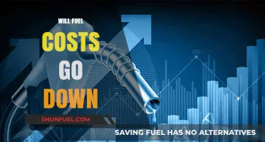 Will Fuel Costs Go Down? Analyzing the Future of Energy Prices
