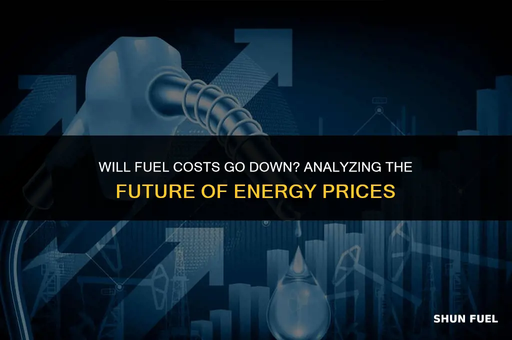 will fuel costs go down