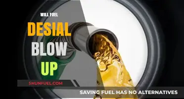 Will Fuel Desial Blow Up? Analyzing the Risks and Realities