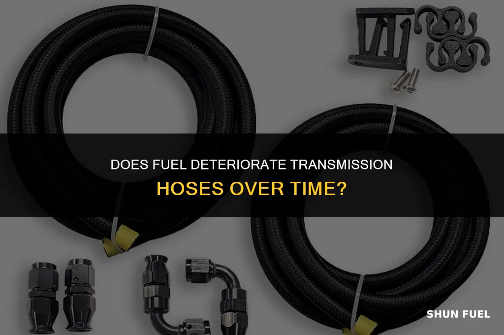 will fuel deteriorate transmission hose