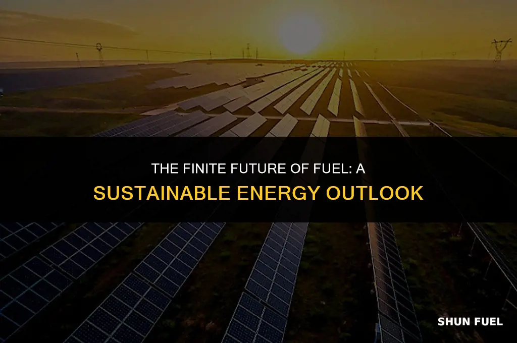 will fuel ever run out