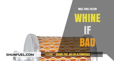 Fuel Filter Whine: When Bad, What to Do?
