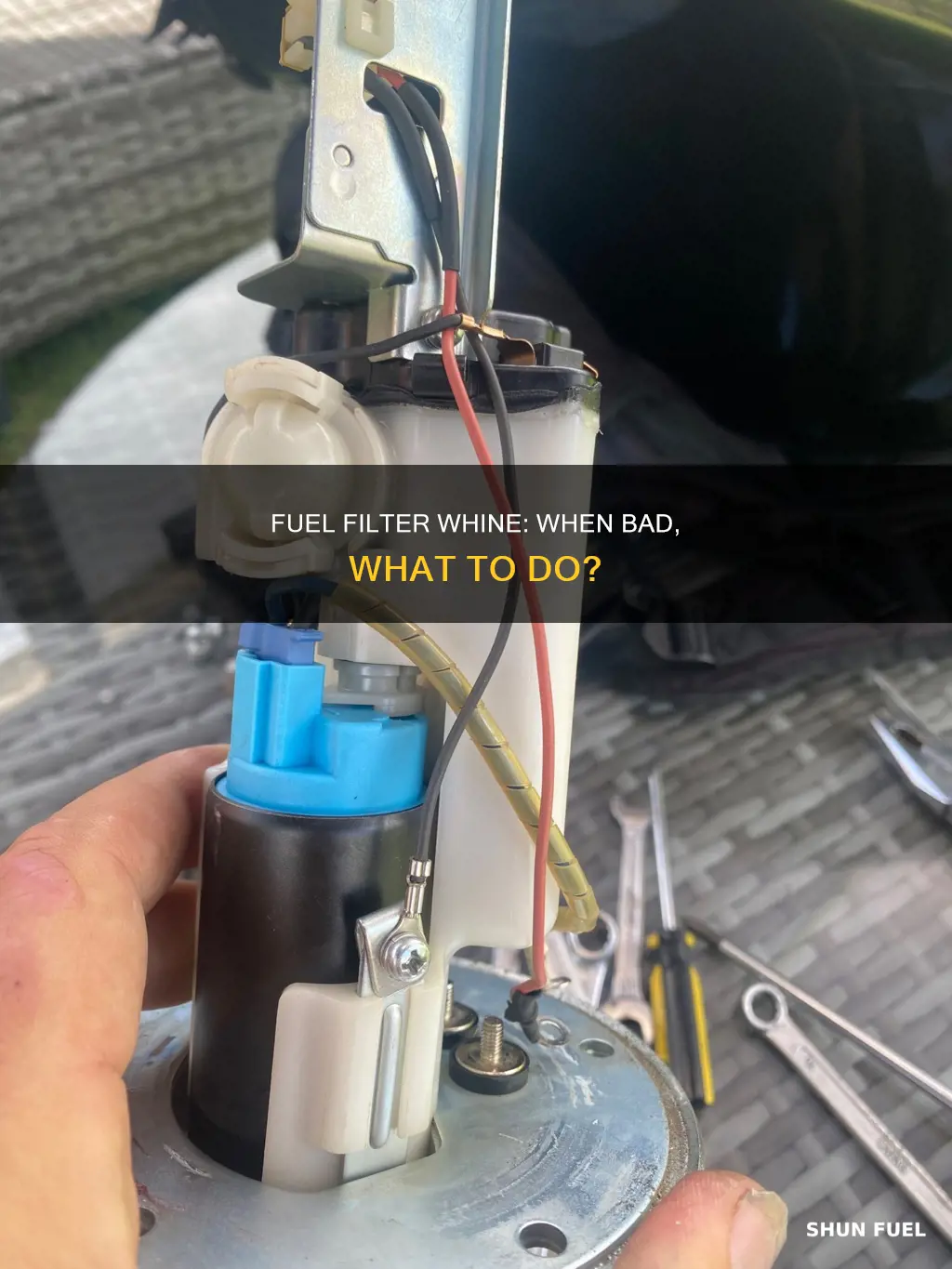 will fuel filter whine if bad