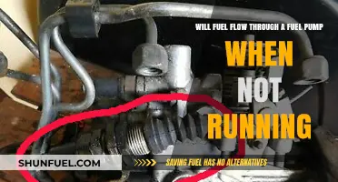 Does Fuel Flow Through a Pump When the Engine is Off?