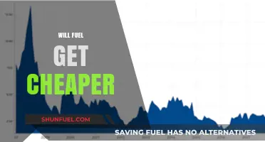 Exploring the Future of Fuel Prices: Will They Drop?