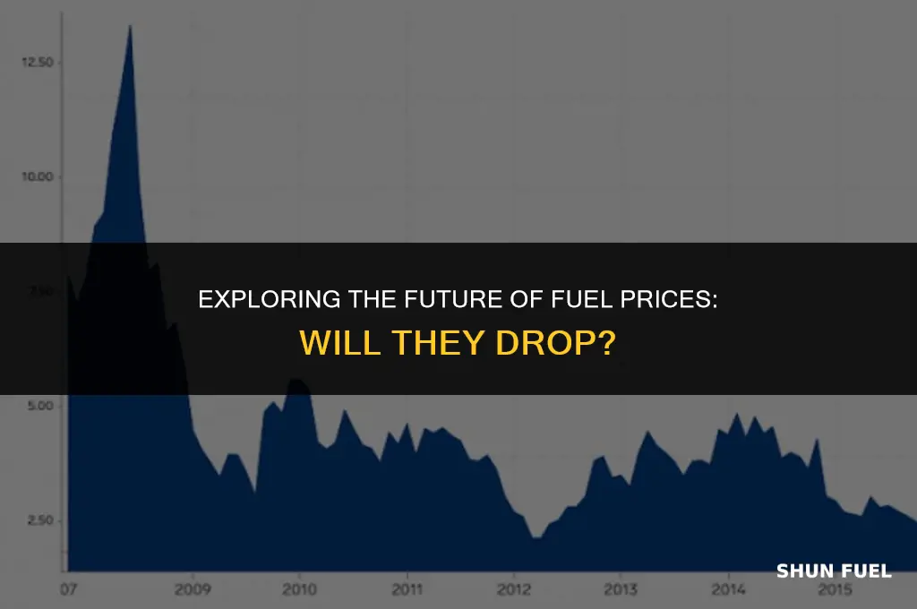 will fuel get cheaper