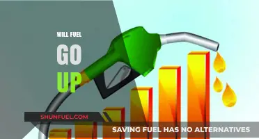 Will Fuel Prices Rise? Analyzing the Factors Impacting Your Next Fill-Up