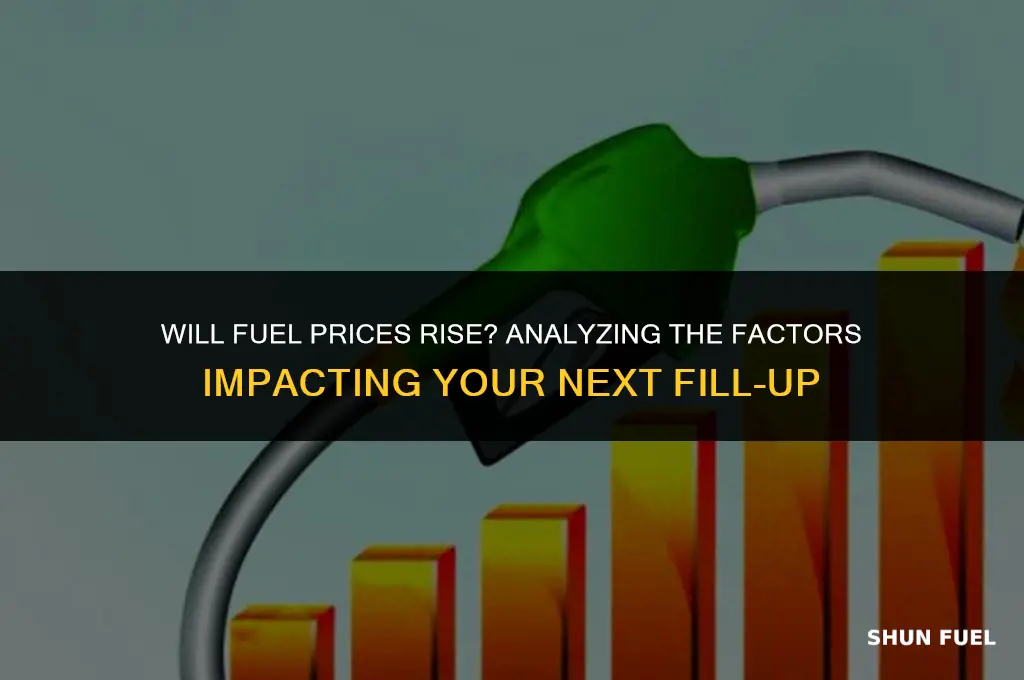will fuel go up