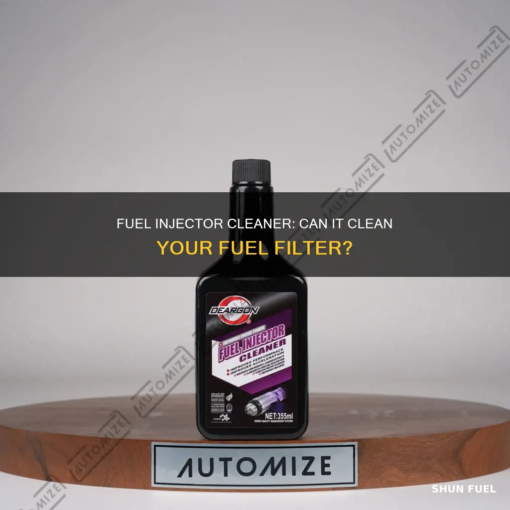 will fuel injector cleaner clean fuel filter