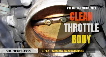 Fuel Injector Cleaners: Do They Clean Throttle Bodies?