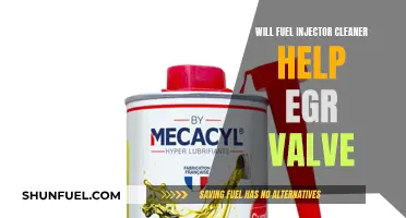 Fuel Injector Cleaner: EGR Valve Savior or Myth?
