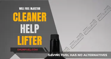 Fuel Injector Cleaner: A Lifter's Friend or Foe?