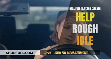 Fuel Injector Cleaner: Can It Smooth Out Rough Idling?