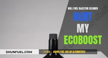 Fuel Injector Cleaner: Friend or Foe to Ecoboost Engines?