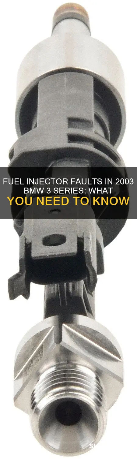 will fuel injectors in a 2003 3 series bmw