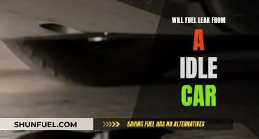 Will Your Car Leak Fuel When Idling? Find Out Now!