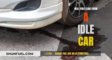 Fuel Leaks in Idling Cars: What You Need to Know