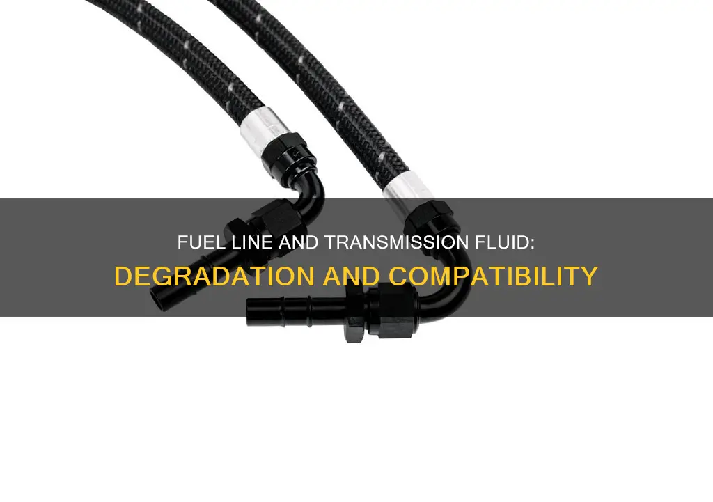 will fuel line degrade in transmission fluid