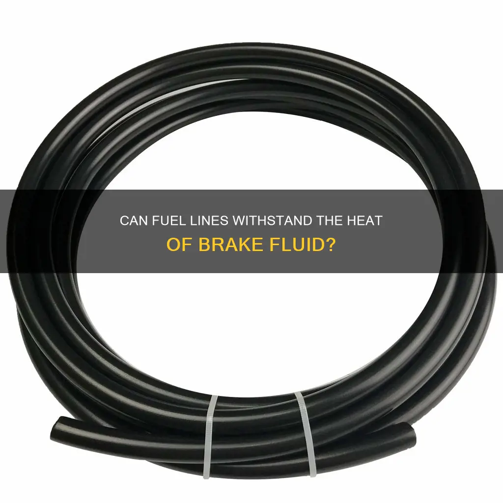 will fuel line hold up to brake fluid