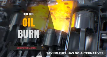 Exploring Combustion: Will Fuel Oil Burn?