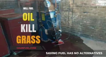 The Impact of Fuel Oil Spills on Lawn Health: A Comprehensive Guide