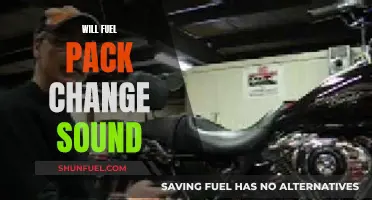 Fuel Pack Change: A Silent Revolution?