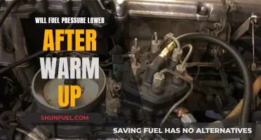 Fuel Pressure: Warm-Up Impact and Performance