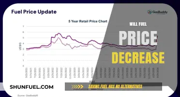 Will Fuel Prices Drop? Analyzing the Factors Impacting Your Next Fill-Up