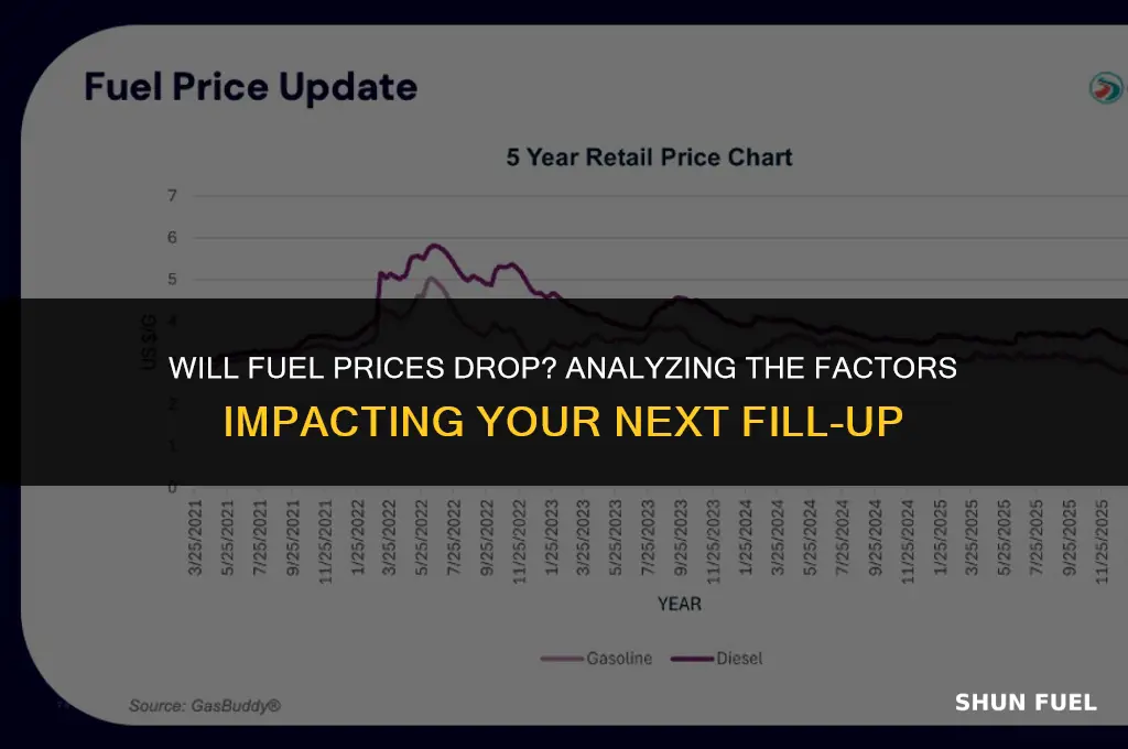 will fuel price decrease