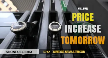 Anticipating Tomorrow's Fuel Prices: What to Expect at the Pump
