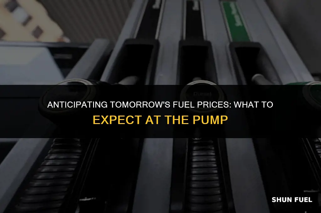 will fuel price increase tomorrow