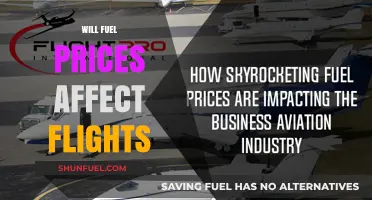 Will Fuel Prices Affect Flights: Analyzing the Impact on Air Travel Costs