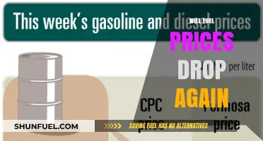 Will Fuel Prices Plummet Once More? Analyzing the Market Trends