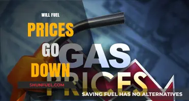 Will Fuel Prices Drop? Analyzing Factors Influencing Future Gas Costs